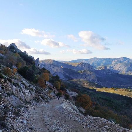 Tarifa 4 Διαμέρισμα Αλικάντε Εξωτερικό φωτογραφία